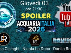 AcquariaItalia 2026: nuovi spoiler in diretta con BEA e ReefJoker