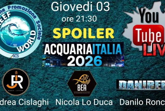 AcquariaItalia 2026: nuovi spoiler in diretta con BEA e ReefJoker