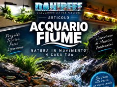 River Style o acquario fiume: le nuove frontiere dell’Acquariofilia