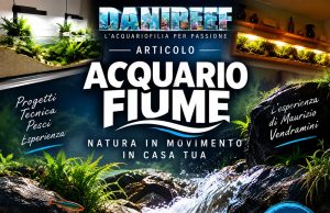 River Style o acquario fiume: le nuove frontiere dell’Acquariofilia