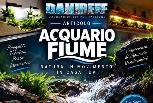 River Style o acquario fiume: le nuove frontiere dell’Acquariofilia