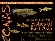 AMAZONAS settembre/ottobre 2026: i pesci dell’Asia orientale