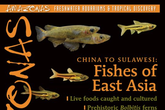 AMAZONAS settembre/ottobre 2026: i pesci dell’Asia orientale