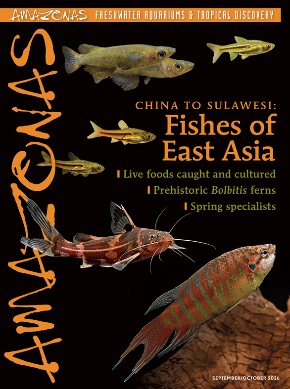 Copertina di AMAZONAS Magazine settembre ottobre 2026 dedicata ai pesci dell'Asia orientale