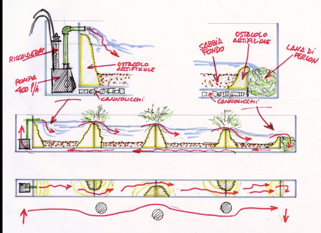 Concept per l'acquario river style