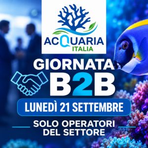 acquariaitalia 2026