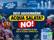 Acqua evaporata in acquario marino: come rabboccare