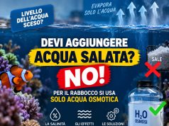 Acqua evaporata in acquario marino: come rabboccare