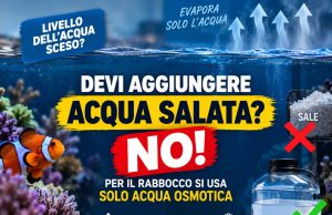 Acqua evaporata in acquario marino: come rabboccare