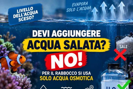 Acqua evaporata in acquario marino: come rabboccare