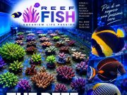 ReefFish inaugura a Olgiate Olona il 12 settembre con GNC ed Equo