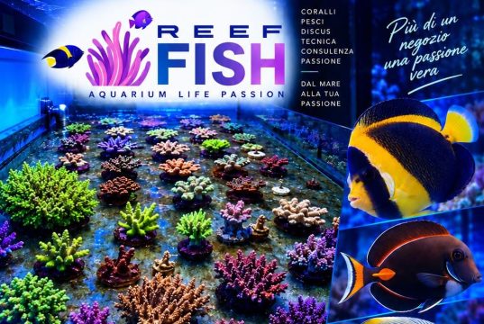 ReefFish inaugura a Olgiate Olona il 12 settembre con GNC ed Equo