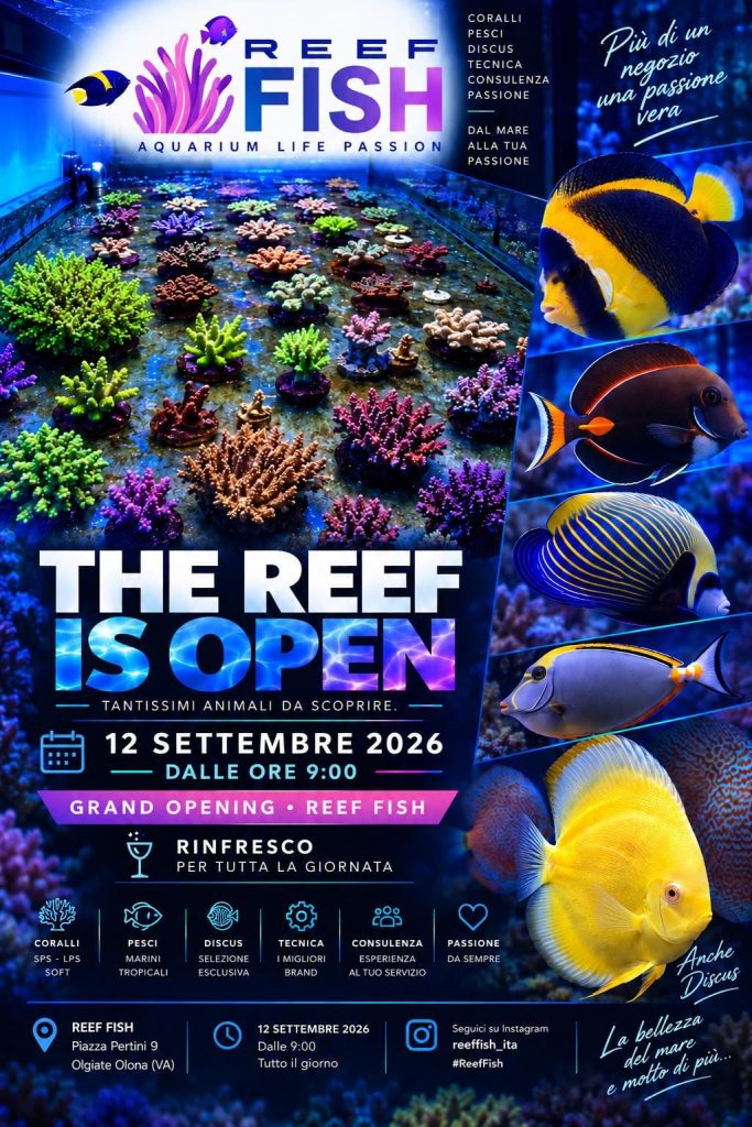 Reef & Fish inaugura il nuovo negozio di acquari a Olgiate Olona