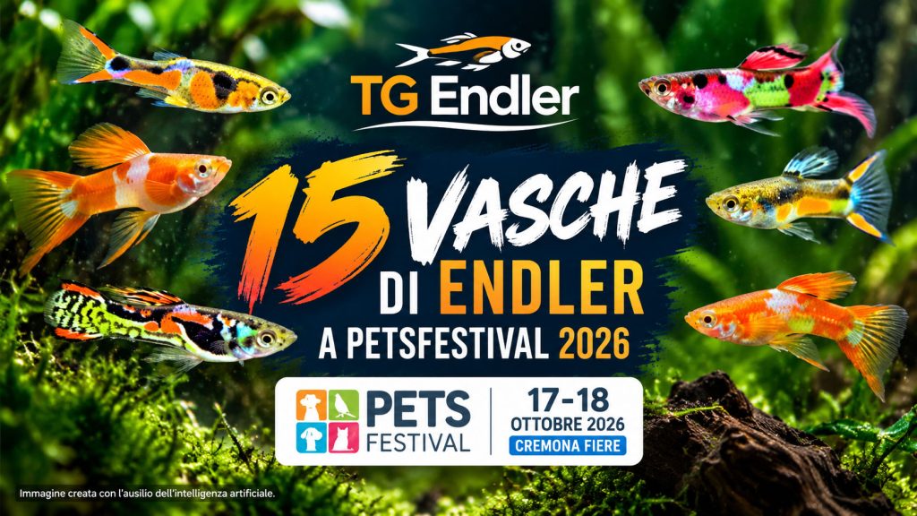 15 acquari di Endler a Petsfestival 2026: lo show di TG Endler