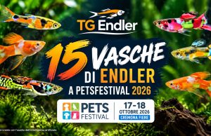 15 acquari di Endler a Petsfestival 2026: lo show di TG Endler