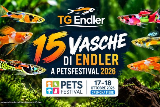 15 acquari di Endler a Petsfestival 2026: lo show di TG Endler