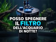 Posso spegnere il filtro dell’acquario di notte?