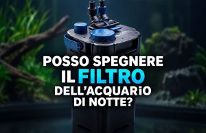 Posso spegnere il filtro dell’acquario di notte?