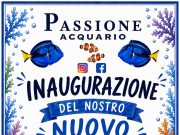 Passione Acquario 2.0: sabato inaugura il nuovo negozio a Fino Mornasco