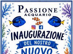 Passione Acquario 2.0: sabato inaugura il nuovo negozio a Fino Mornasco
