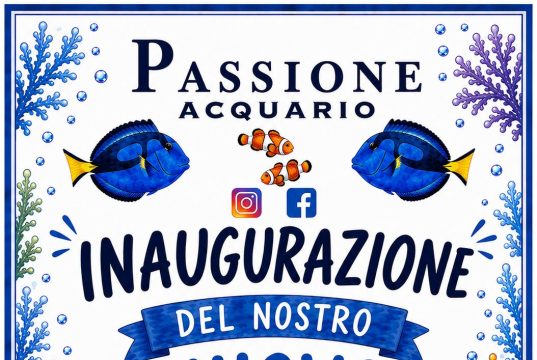 Passione Acquario 2.0: sabato inaugura il nuovo negozio a Fino Mornasco