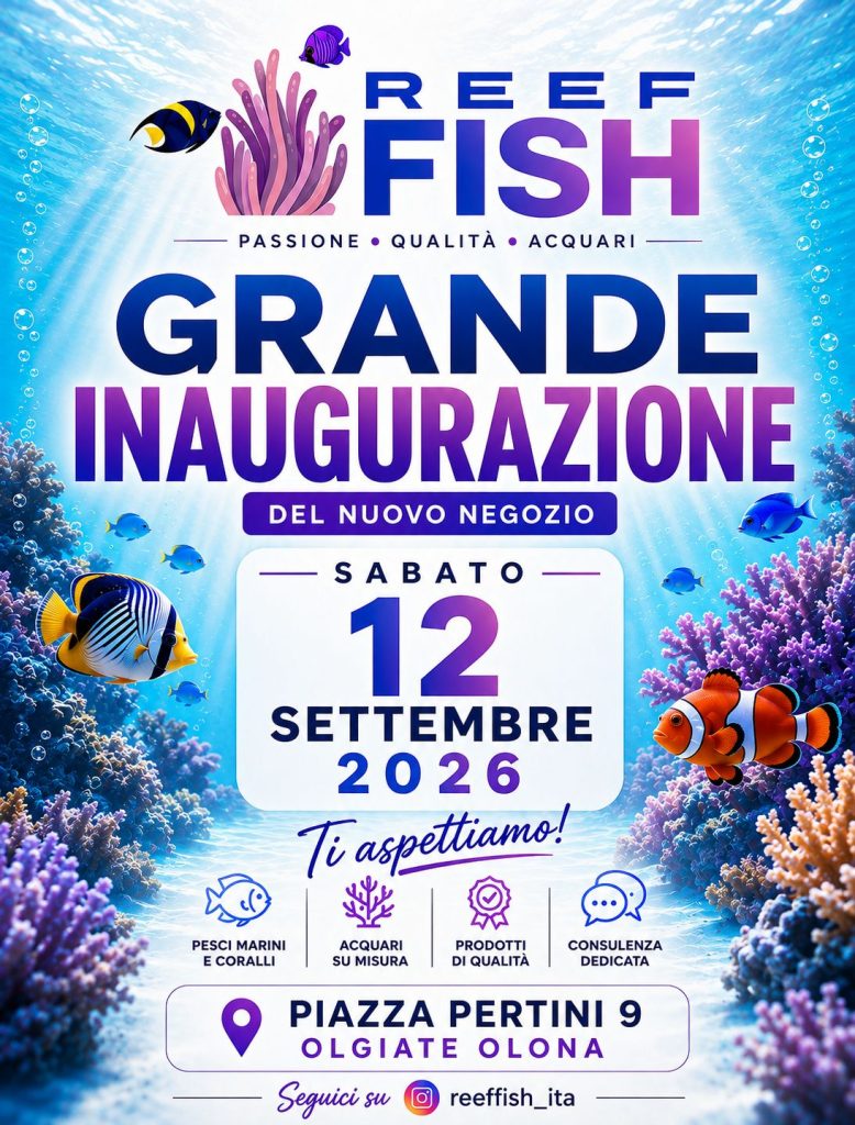 Inaugurazione Reef & Fish a Olgiate Olona sabato 12 settembre 2026