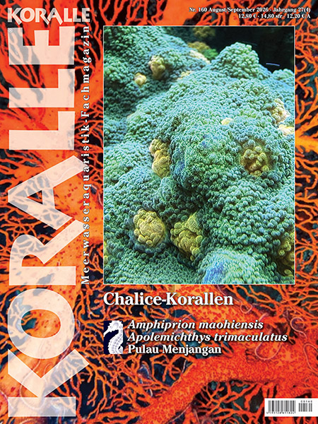 Copertina di Koralle Magazine 160 dedicata ai coralli Chalice