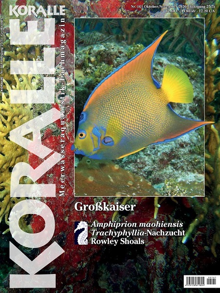 KORALLE Magazine 161 dedicato ai grandi pesci angelo Pomacanthus e Holacanthus