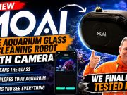 MOAI Review: Does This Aquarium Glass Cleaning Robot Really Work?