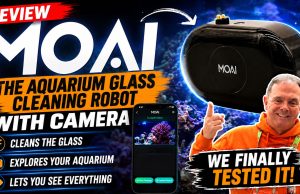 MOAI Review: Does This Aquarium Glass Cleaning Robot Really Work?
