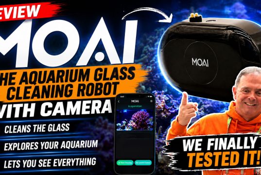 MOAI Review: Does This Aquarium Glass Cleaning Robot Really Work?