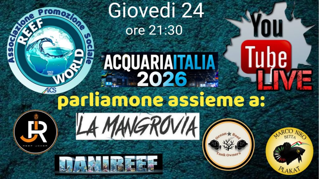AcquariaItalia 2026 è finita… ma abbiamo un SUPER SPOILER