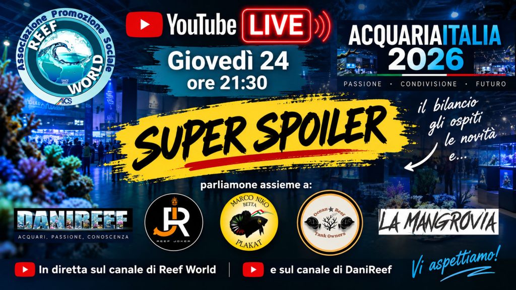 AcquariaItalia 2026 è finita… ma abbiamo un SUPER SPOILER