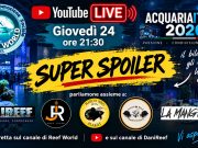 AcquariaItalia 2026 è finita… ma abbiamo un SUPER SPOILER