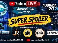 AcquariaItalia 2026 è finita… ma abbiamo un SUPER SPOILER