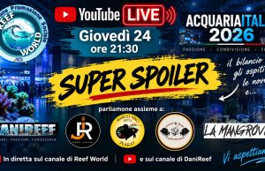 AcquariaItalia 2026 è finita… ma abbiamo un SUPER SPOILER
