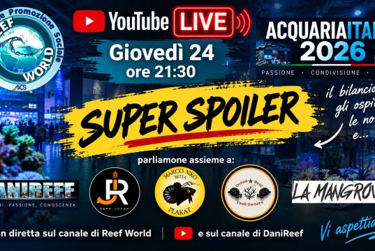 AcquariaItalia 2026 è finita… ma abbiamo un SUPER SPOILER