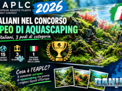 EAPLC 2026: gli italiani nel concorso europeo di aquascaping EAPLC