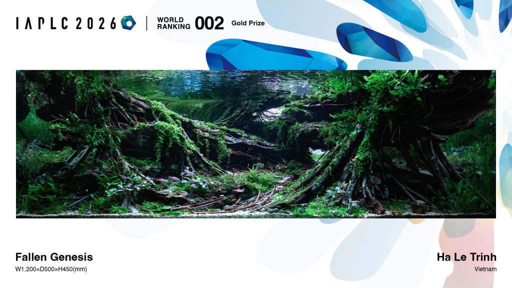 IAPLC 2026 secondo posto Ha Le Trinh Vietnam