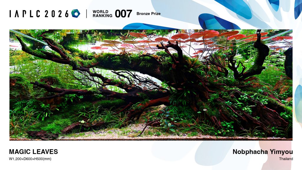 IAPLC 2026 settimo posto Nobphacha Yimyou Thailandia