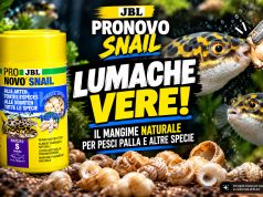 JBL PRONOVO SNAIL: lumache pronte per pesci palla e non solo