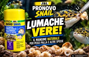 JBL PRONOVO SNAIL: lumache pronte per pesci palla e non solo