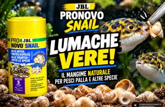 JBL PRONOVO SNAIL: lumache pronte per pesci palla e non solo
