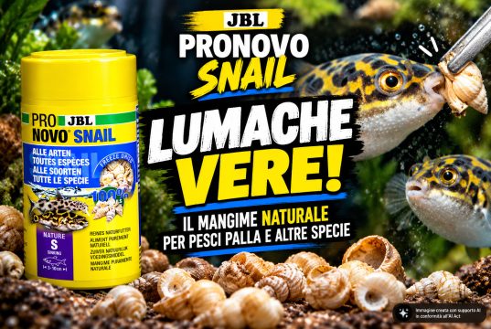 JBL PRONOVO SNAIL: lumache pronte per pesci palla e non solo