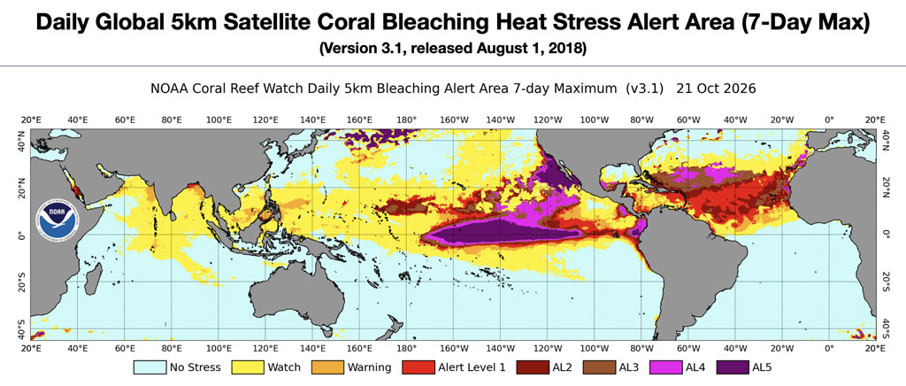 Mappa NOAA Coral Reef Watch dei livelli massimi di allerta per lo sbiancamento dei coralli registrati negli ultimi sette giorni.