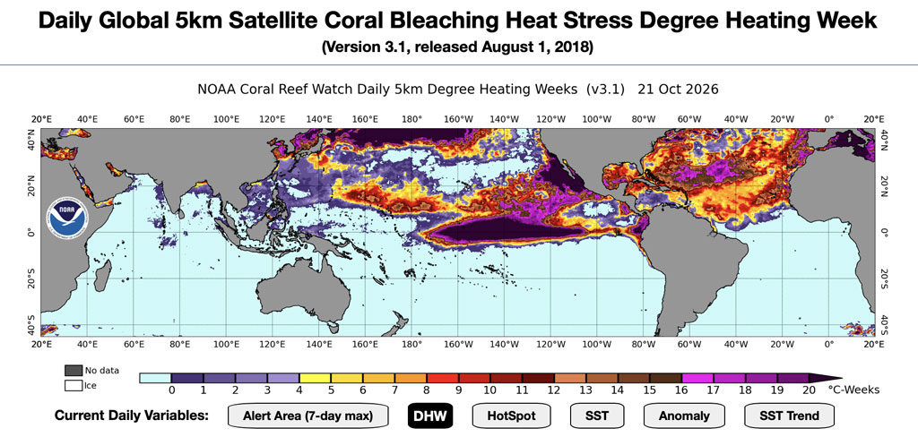 Mappa NOAA Coral Reef Watch del Degree Heating Weeks, indicatore dello stress termico accumulato negli oceani nelle ultime 12 settimane.