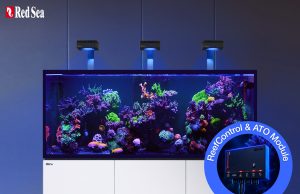 Red Sea REEFER G3+: nuovi acquari con ReefControl e vetri rinforzati