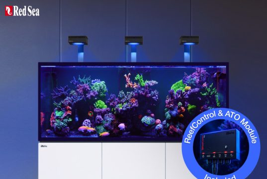 Red Sea REEFER G3+: nuovi acquari con ReefControl e vetri rinforzati
