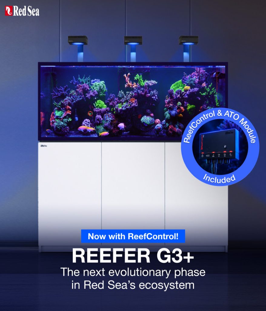 Red Sea REEFER G3+: nuovi acquari con ReefControl e vetri rinforzati