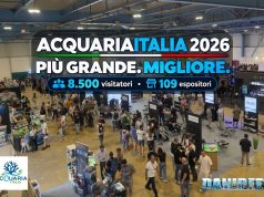 AcquariaItalia 2026 chiude con 8.500 visitatori: +153% di espositori e uno sguardo al 2027